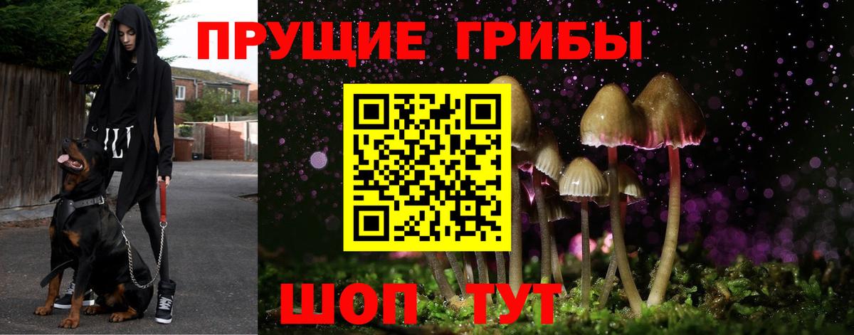 Галлюциногенные грибы мицелий Назарово