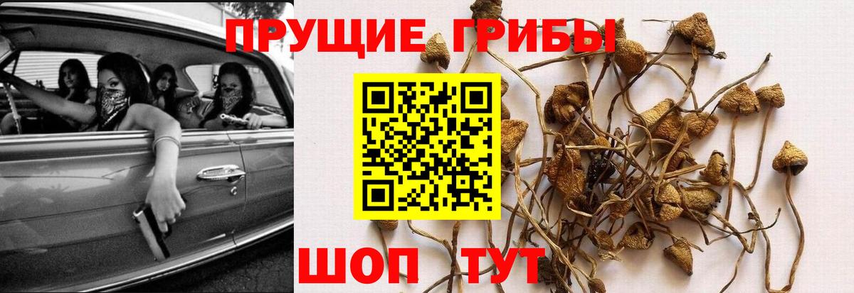 цены   Вход с VPN  Назарово  Галлюциногенные грибы MAGIC MUSHROOMS 
